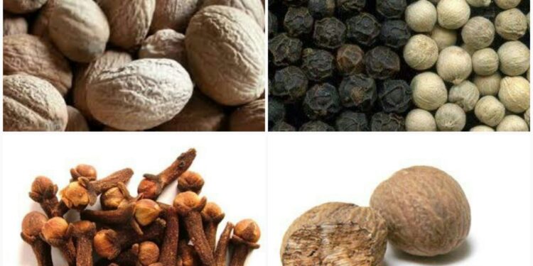 Buyer di Afrika Barat Minati Produk Pertanian Indonesia