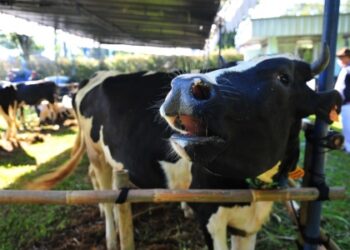 Produk Pangan Olahan Indonesia Boleh Masuk UE