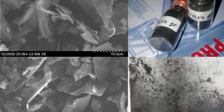 BRIN dan Industri Kembangkan Riset Material Berbasis Biomassa Serat Kelapa