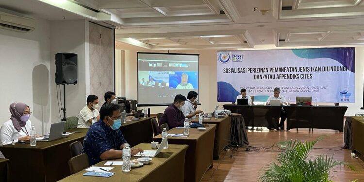 KKP Tetapkan Kembali Status Perlindungan 20 Spesies Jenis Ikan