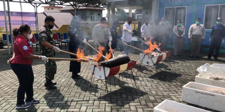 Terpapar Bakteri E. coli, KKP Musnahkan Produk Perikanan di Ternate