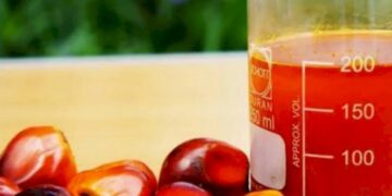 Pemerintah Larang Ekspor CPO, RBD Palm Oil, RBD Palm Olein dan Migor Bekas Pakai