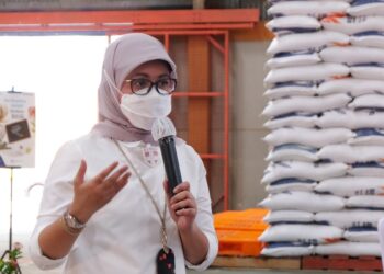 BULOG Berhasil Jaga Stok dan Harga Beras Selama Libur Lebaran