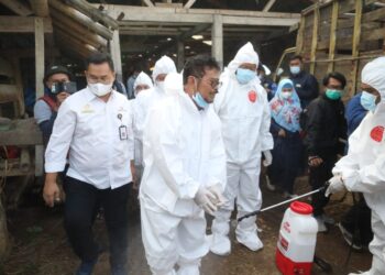 Mentan SYL Bantu Obat-obatan untuk Kendalikan PMK di Sumedang, Jawa Barat