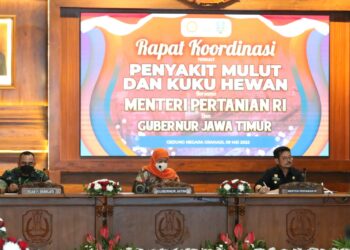 Mentan: PMK Tidak Menular ke Manusia, Kementan Siapkan Strategi Pemberantasan