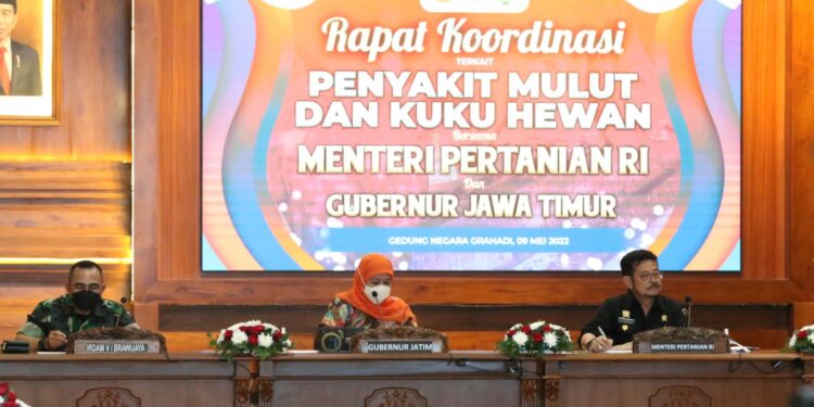 Mentan: PMK Tidak Menular ke Manusia, Kementan Siapkan Strategi Pemberantasan