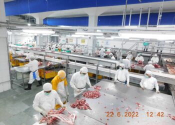 Pastikan Daging Bebas PMK,  Direksi BULOG Inspeksi Langsung ke India