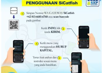 Konsultasi Budidaya Ikan Secara Online Dengan SiCatfish