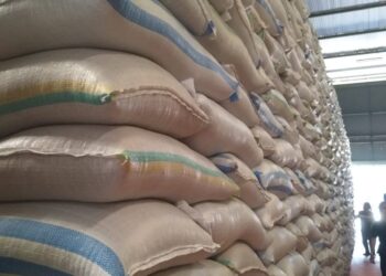 Pemerintah Disarankan Kembali Ciptakan Captive Market untuk Beras Bulog