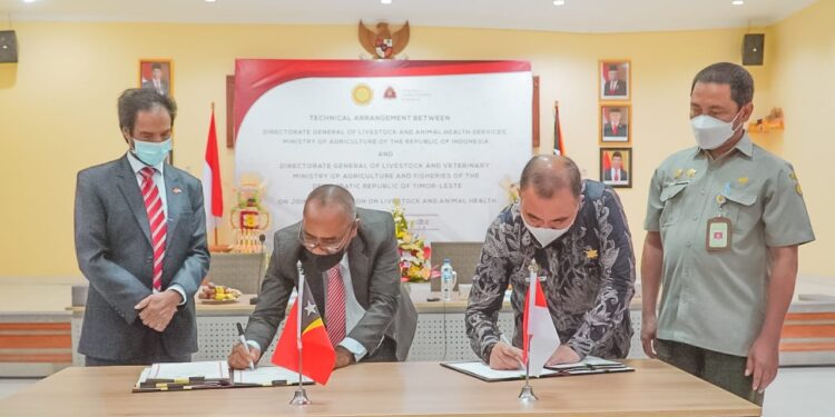 Indonesia-Timor Leste Perkuat Kerjasama Sub Sektor Peternakan dan Kesehatan Hewan