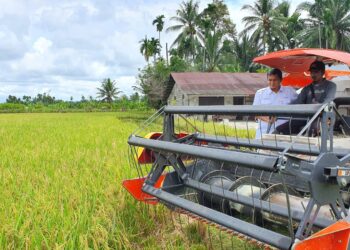 BULOG   Dukung  Terbitnya Perpres Tentang Cadangan Pangan Pemerintah