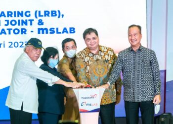 Pemerintah Pacu Substitusi Impor di Industri Pengolahan Karet