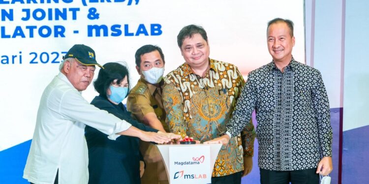 Pemerintah Pacu Substitusi Impor di Industri Pengolahan Karet