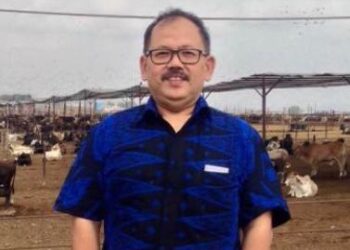 Akademisi IPB: Penyakit Jembrana pada Sapi Tidak Menular ke Manusia