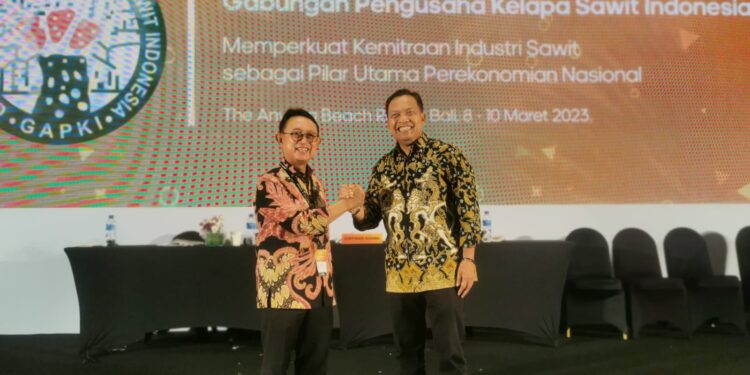 Eddy Martono, Ketua Umum GAPKI 2023-2028