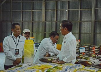 Presiden Jokowi Pastikan Kapasitas Gudang BULOG Aman untuk Menampung Hasil Panen Raya