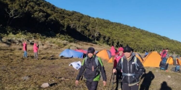 Kunjungan Wisman ke Indonesia Naik 503,35% di Januari 2023