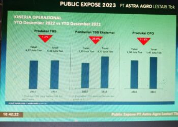 Astra Agro Targetkan Produksi CPO 2023 Setidaknya 1,3 Juta Ton
