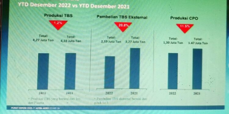 Astra Agro Targetkan Produksi CPO 2023 Setidaknya 1,3 Juta Ton