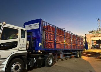 Indonesia Sukses Ekspor Perdana Ayam Hidup ke Singapura