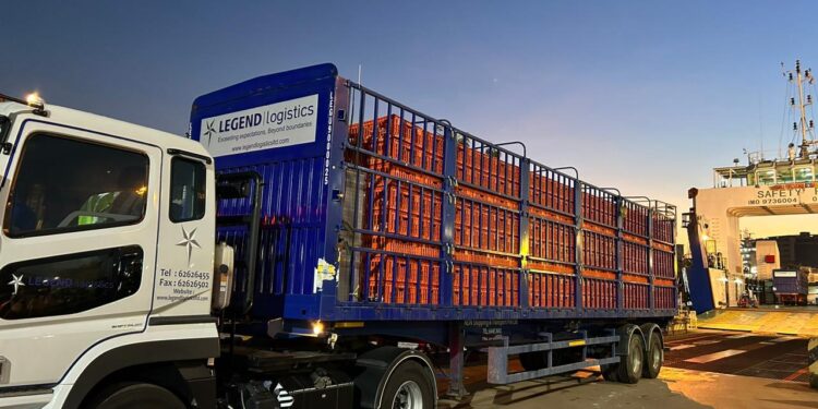 Indonesia Sukses Ekspor Perdana Ayam Hidup ke Singapura