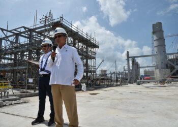 Menteri ESDM Minta Progres Proyek Smelter Manyar 4%/Bulan