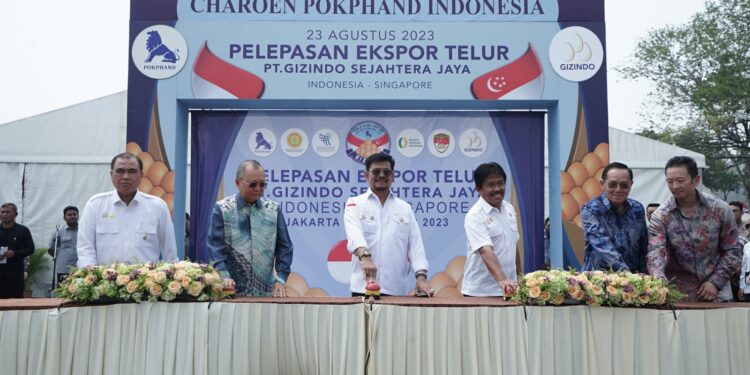 Charoen Pokphand Tingkatkan Ekspor Telur Nasional Secara Masif