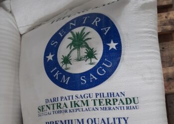 Kemenperin Kembangkan Sentra IKM di Perbatasan untuk Pacu Hilirisasi Sagu