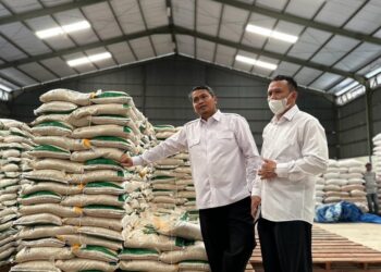 BULOG Percepat Realisasi Impor Antisipasi Dampak El Nino