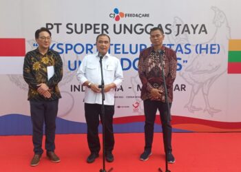 Indonesia Tingkatkan Ekspor Telur Tetas Ayam ke Myanmar