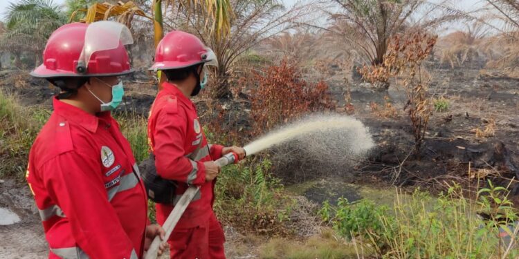 Siap Siaga Hadapi Puncak Kerawanan Karhutla di September