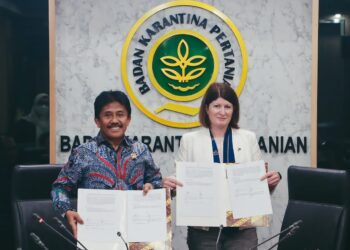 Karantina Pertanian Buka Kembali Kran Impor Sapi Asal Australia