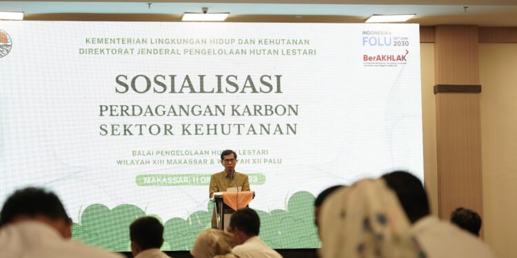 Perdagangan Karbon, Kontribusi Indonesia bagi Agenda Perubahan Iklim Global