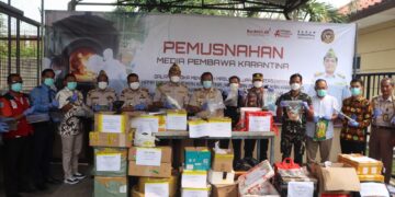 Barantin Musnahkan Ribuan Bibit Pisang Berpenyakit Asal Filipina