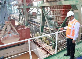 BULOG Segera Gelontorkan Jagung Pakan untuk Stabilkan Harga di Peternak