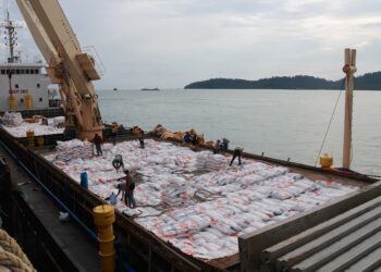 BULOG Percepat Realisasi Impor Beras dengan Perbanyak Pelabuhan Bongkar