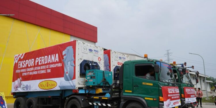 PT Malindo Feedmill Ekspor Frozen Whole Chicken ke Singapura