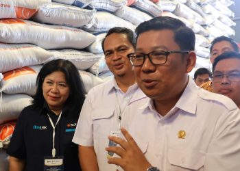 Seimbangkan Harga Beras, BULOG Terapkan Tiga Program Utama