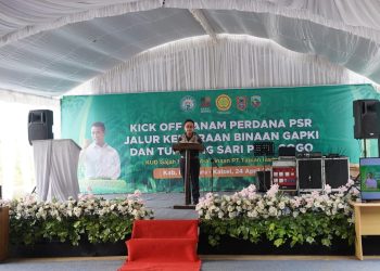 Integrasi PSR Sawit dan Padi Gogo, Gapki Tanam Perdana di Kalsel
