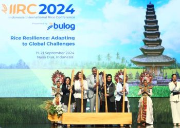 Dunia Hadapi Tantangan Produksi Beras, Bulog Serukan Kolaborasi Global