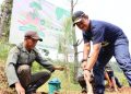 Perhutani Tanam 24 Juta Pohon, Perluas Puluhan Ribu Hektar Lahan Hijau