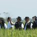 Perum Bulog Lakukan Monitoring Titik Panen Jelang Perubahan HPP
