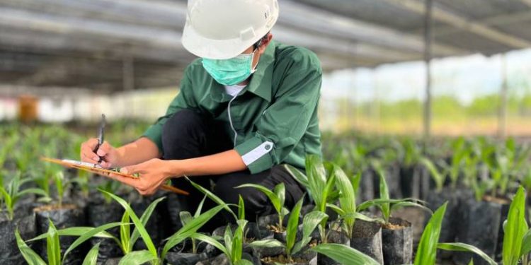 Astra Agro Lepas Varietas Sawit Unggul yang Tahan Ganoderma