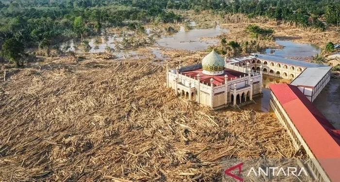 Pasca Banjir, Pasokan Bokar ke Pabrik Pengolahan Karet Anjlok 50%