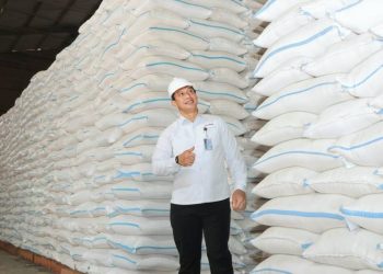 BULOG: Ketahanan Pangan Aman Hadapi Ancaman El Nino, Stok Beras Nasional Melimpah 4,6 Juta Ton